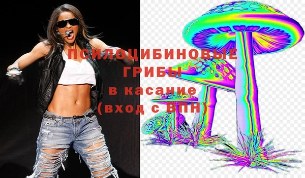 гидра Зеленокумск