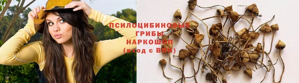 прущая мука Зеленодольск