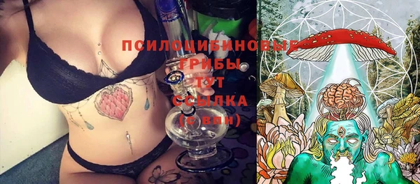 гидра Зеленокумск