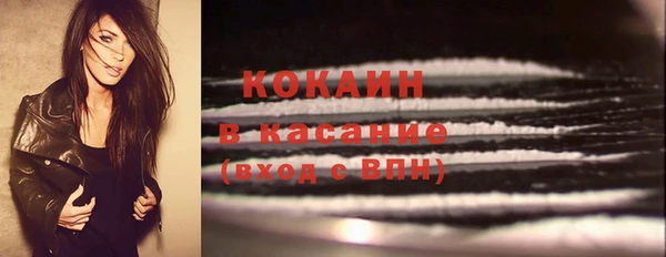 гидра Зеленокумск