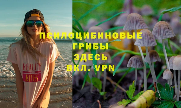 мескалин Заволжск