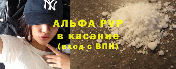 сатива Зерноград