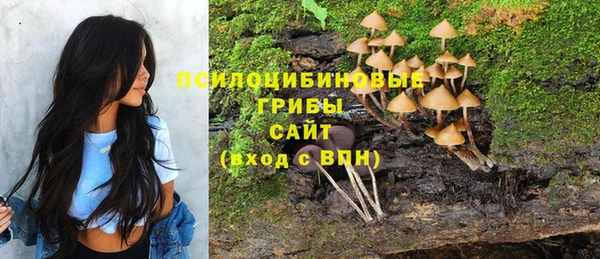 прущая мука Зеленодольск