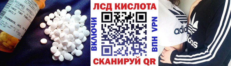 Купить закладки  Лесозаводск  ЛСД экстази ecstasy 