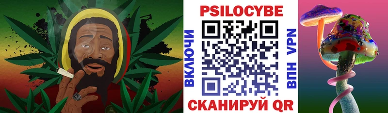 Галлюциногенные грибы Psilocybe  Купить где  Лесозаводск 